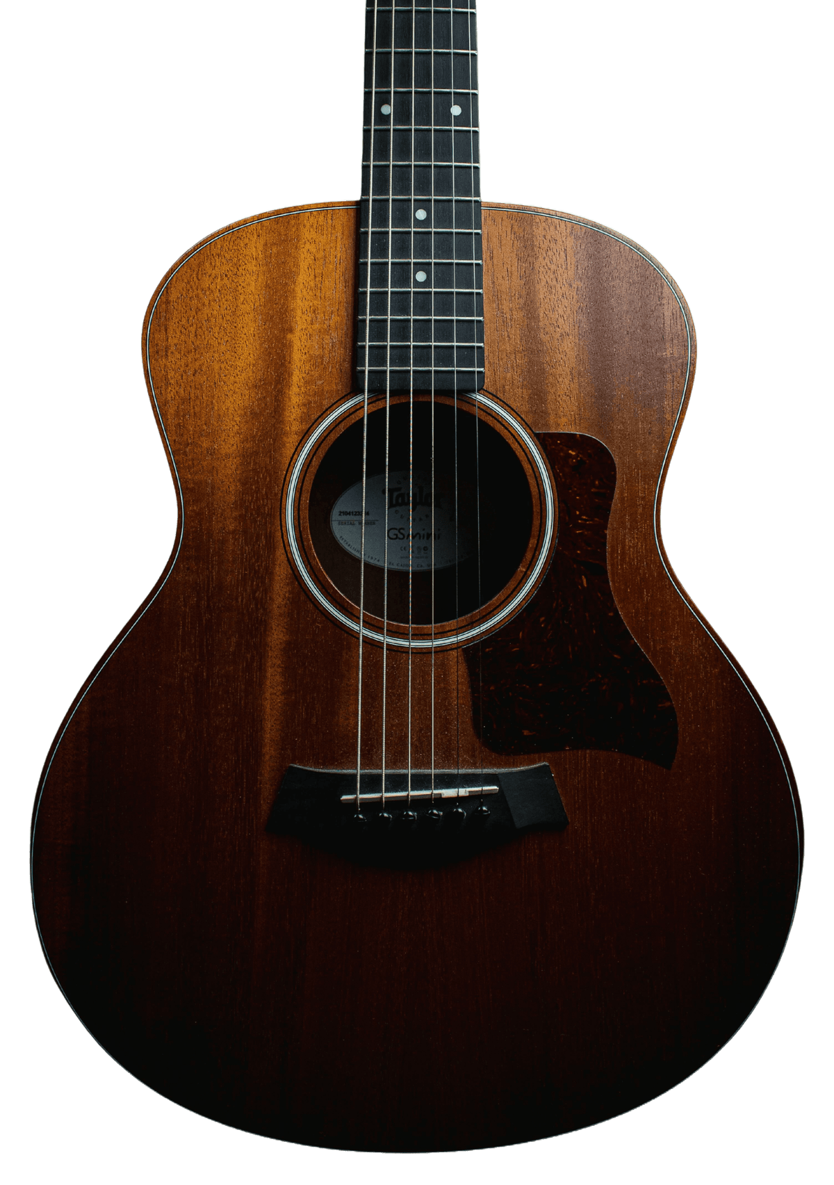 Acoustic Guitar